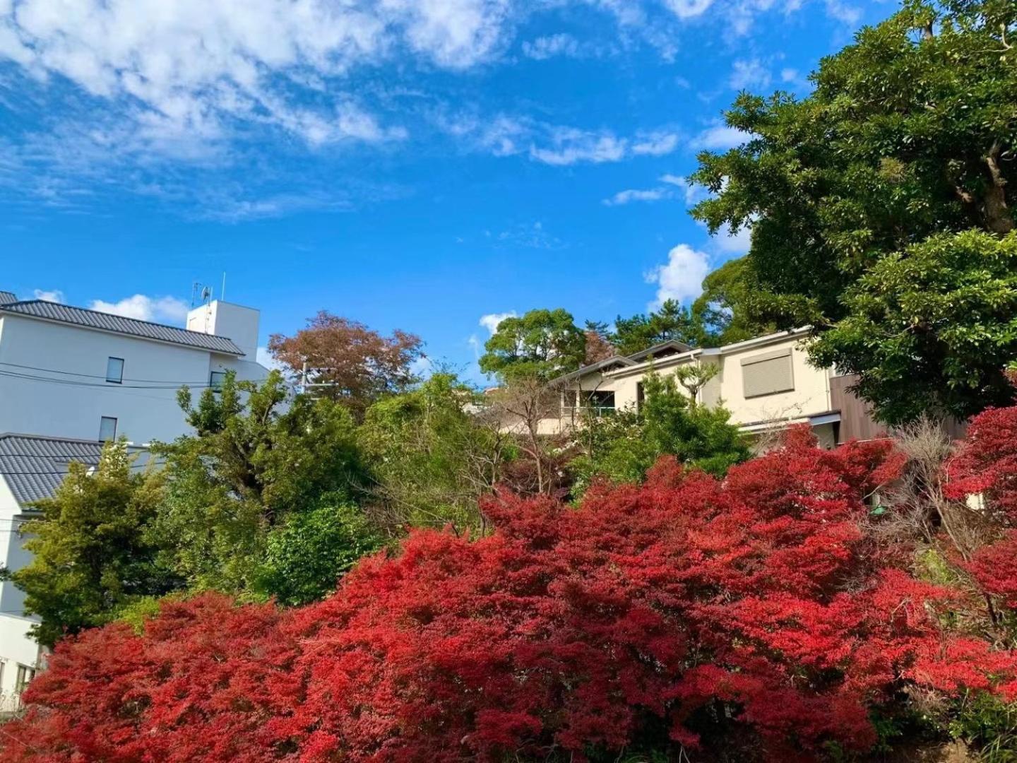 雅竹miyabitake Hotel Miyakami Bagian luar foto
